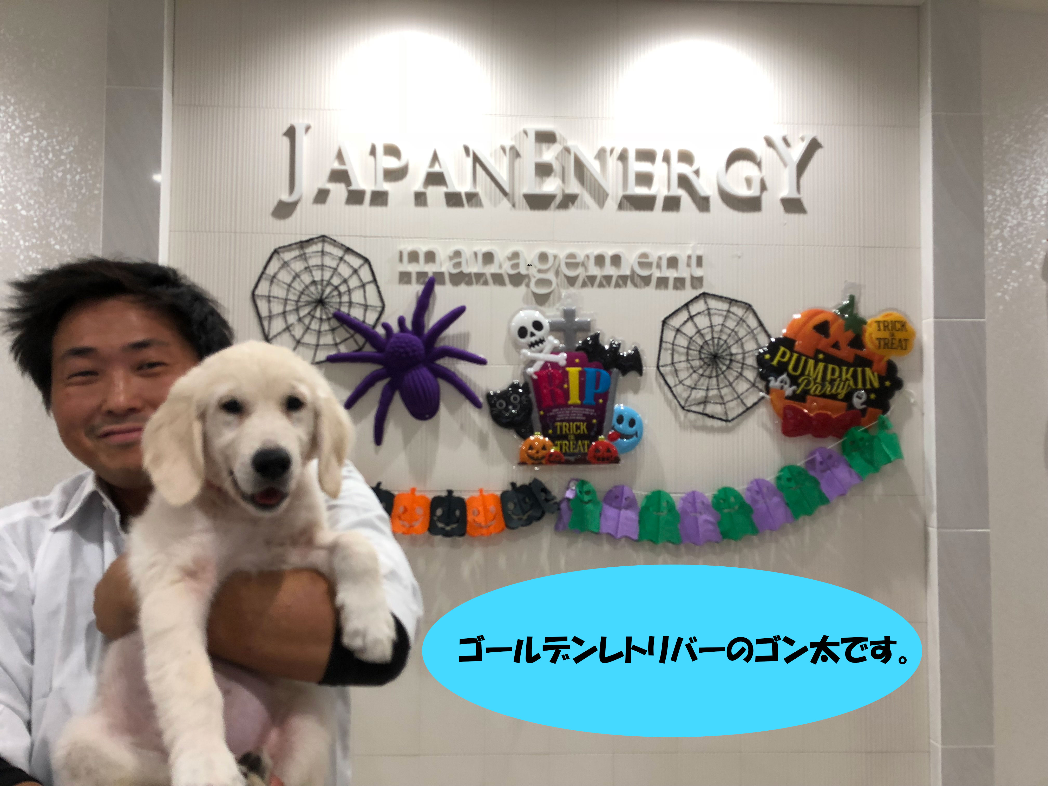 新入社員のゴン太 | JPNエネルギー